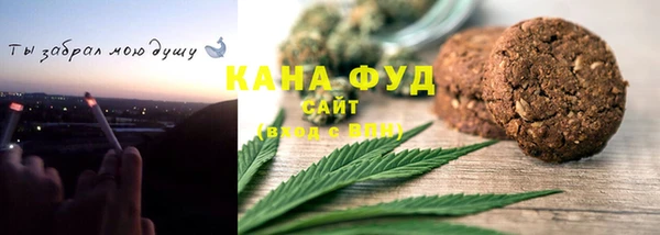 индика Чегем