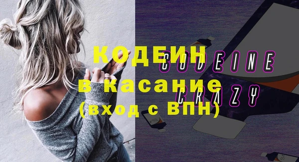 индика Чегем