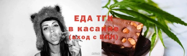 индика Чегем