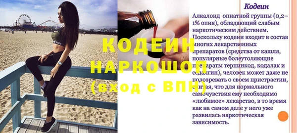 индика Чегем