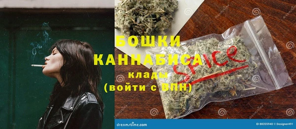 индика Чегем