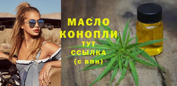 индика Чегем