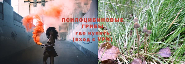 индика Чегем