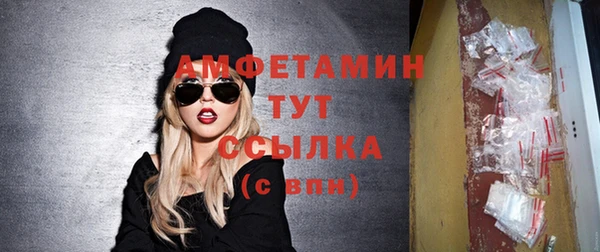 индика Чегем