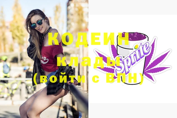 индика Чегем
