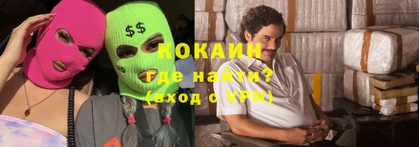 индика Чегем