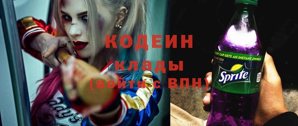 индика Чегем