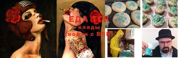 индика Чегем