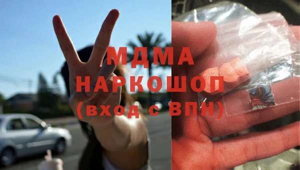 индика Чегем
