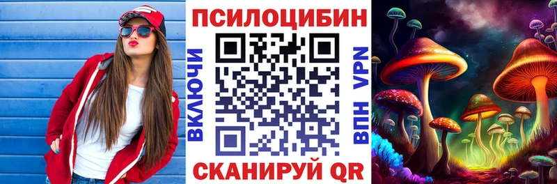 Купить где  Южно-Сахалинск  Галлюциногенные грибы мицелий 